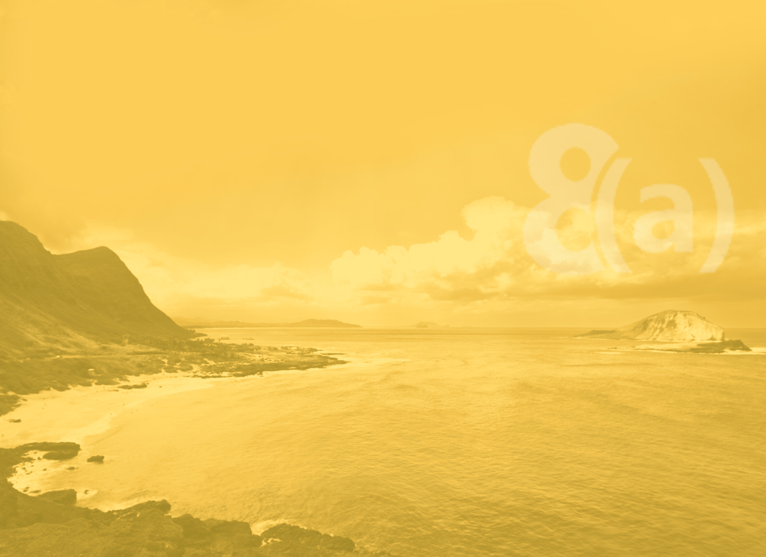 Background image for Who We Are section on the Nakupuna Companies, a Native Hawaiian Organization (NHO) owned 8a.